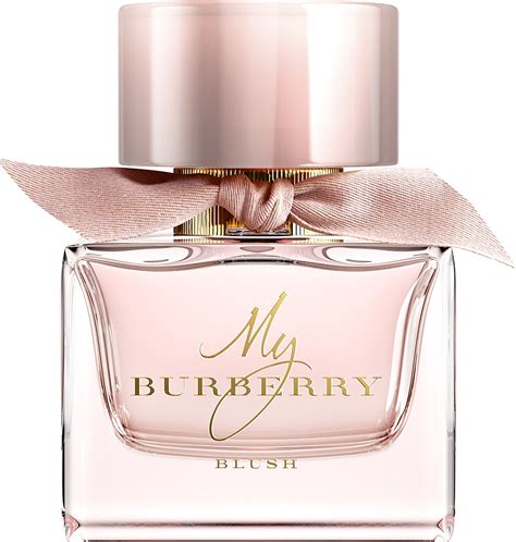 my burberry opinioni